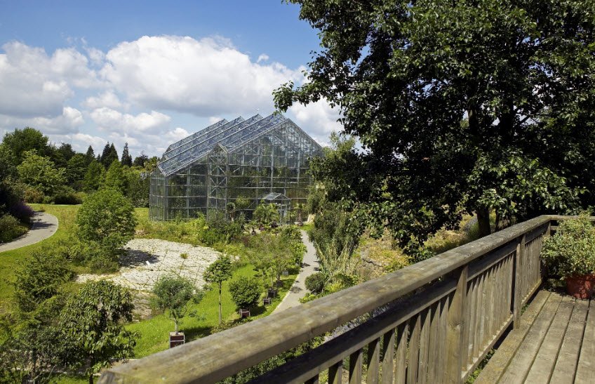 Osnabrueck University Botanical Garden, Osnabrück, Germany, Germany